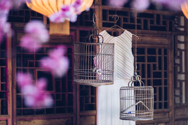 Brautkleid hinter Kirschblüten | Jennifer Spurk Fotografie